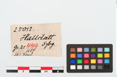 Etiketten zu Bronzekahnfibel (NHMW-PRAE-025012)
